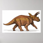 Anchiceratops - Cretaceous Dinosaur Portfolio Posters