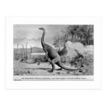 Anchisaurus art postcard