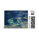 Anchor in the Water Postage
