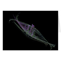 Anchovies Card
