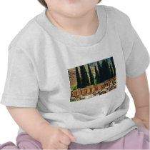 Ancient columns  Hierapolis, Turkey T Shirts