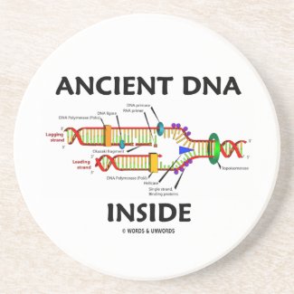 Ancient DNA Inside (DNA Replication) Coaster