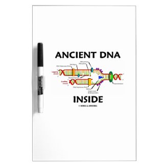Ancient DNA Inside (DNA Replication) Dry Erase Whiteboard