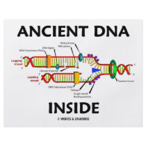 Ancient DNA Inside (DNA Replication Humor) flyers