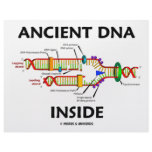 Ancient DNA Inside (DNA Replication Humor) Letterhead Design