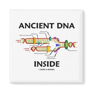 Ancient DNA Inside (DNA Replication Humor) magnet