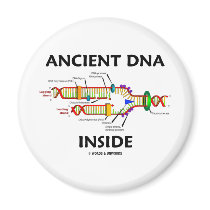 Ancient DNA Inside (DNA Replication Humor) magnets by wordsunwords Ancient DNA Inside (DNA Replication Humor) magnets