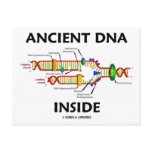 Ancient DNA Inside (DNA Replication Humor) Post Card
