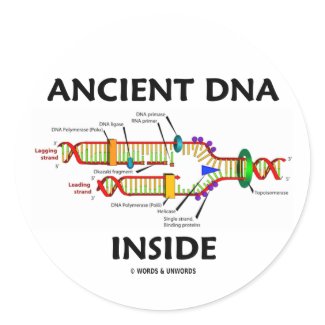 Ancient DNA Inside (DNA Replication Humor) sticker