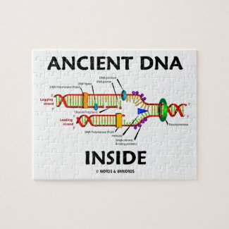 Ancient DNA Inside (DNA Replication) Puzzles