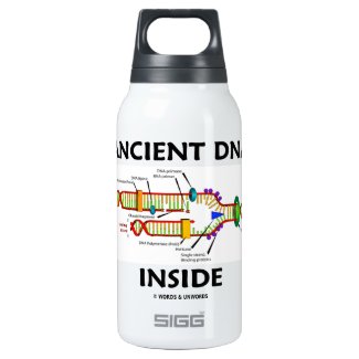 Ancient DNA Inside (DNA Replication) 10 Oz Insulated SIGG Thermos Water Bottle