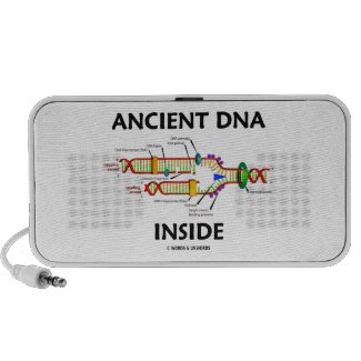 Ancient DNA Inside (DNA Replication) Speakers