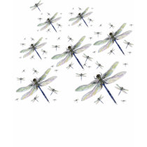 Ancient Dragonfly Fleet T-Shirt