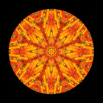 Ancient Echoes Crystal Mandala posters