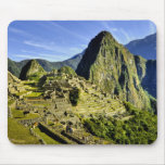 Ancient Machu Picchu, last refuge of the Mousepads