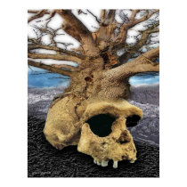 ancient minds of the trees posters