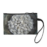 Ancient mud bowl with white material change purses