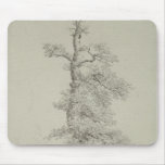Ancient Oak Tree with a Stork's Nest Mousepad