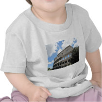 Ancient Rome Colosseum Tee Shirts