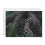 Ancient Roots Invitations