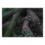 Ancient Roots Invitations