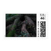 Ancient Roots Postage