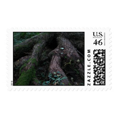 Ancient Roots Postage by northwest_photograph