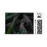 Ancient Roots Postage