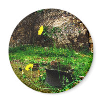 Ancient ruins of Pompeii magnets by gothicarts Ancient ruins of Pompeii magnets