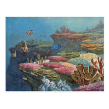 Ancient Sea Coral Antique Print Post Card