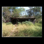 Ancient Shed Postcard postcards