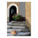 Ancient Stairs with Plant and Cat posters