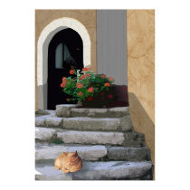 Ancient Stairs with Plant and Cat posters