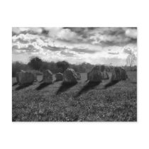 ancient stones postcard