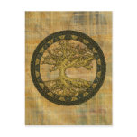 Ancient Tree of Life Postcards
