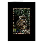 Ancient Urn Card