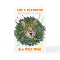 Buying Christmas Trees And Pa