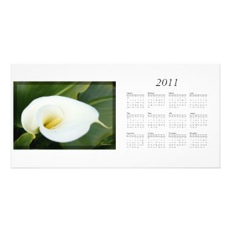 And lilies white... Calender 2011 photocard