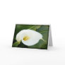 And lilies white... greeting cards