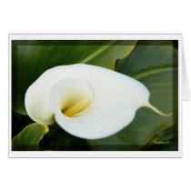 And lilies white... cards