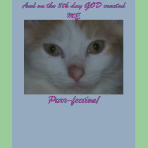 And on the 8th day GOD created ME,Purrfection t-shirts