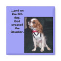 and on the 8th day,God created the cavalier magnet by KimPlvr and on the 8th day,God created the cavalier magnet