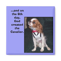 and on the 8th day,God created the cavalier magnet