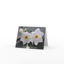 ...and one on the way! greeting cards