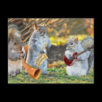 And the band played on postcards