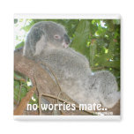 And The Problem Is, no worries mate.., ©2010BLHS magnets