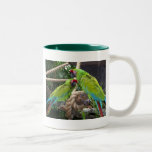 and what are you lookin' at? (green) mug