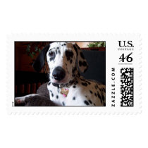 And, Your Point Is? Postage Stamps