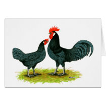 Andalusian Chickens Card