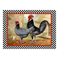 Andalusian Chickens in Farm Poster